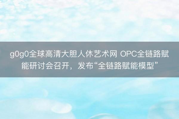 g0g0全球高清大胆人休艺术网 OPC全链路赋能研讨会召开，发布“全链路赋能模型”