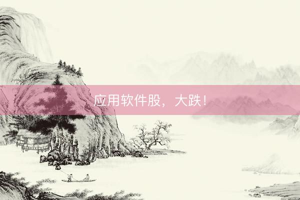 应用软件股，大跌！
