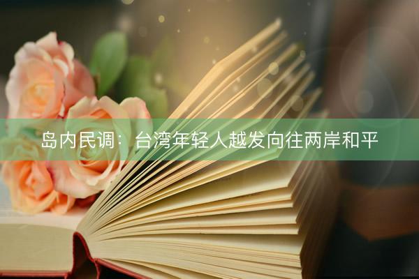 岛内民调：台湾年轻人越发向往两岸和平