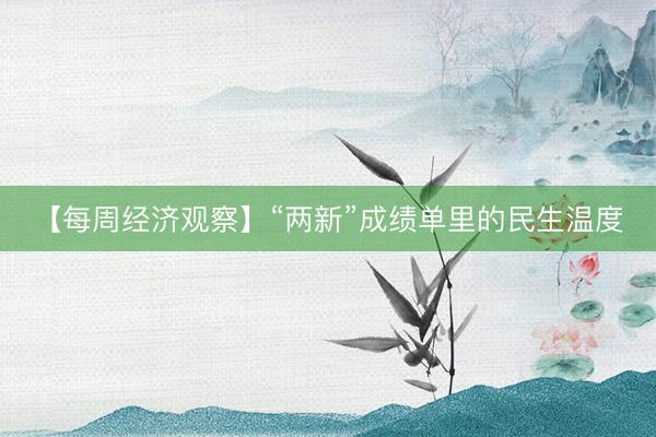 【每周经济观察】“两新”成绩单里的民生温度