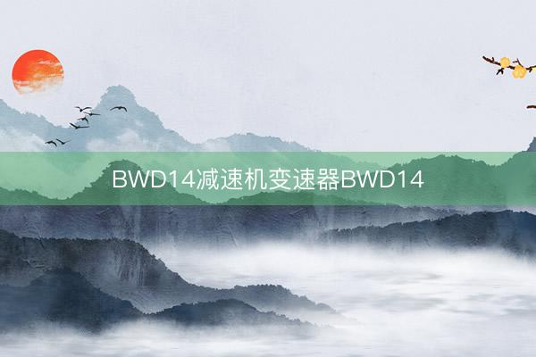 BWD14减速机变速器BWD14