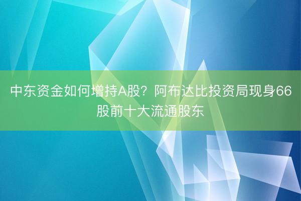 中东资金如何增持A股？阿布达比投资局现身66股前十大流通股东