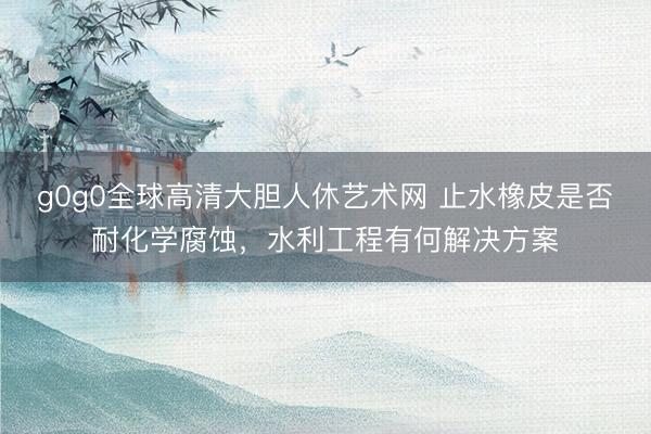 g0g0全球高清大胆人休艺术网 止水橡皮是否耐化学腐蚀，水利工程有何解决方案