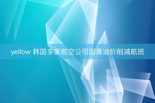 yellow 韩国多家航空公司因高油价削减航班