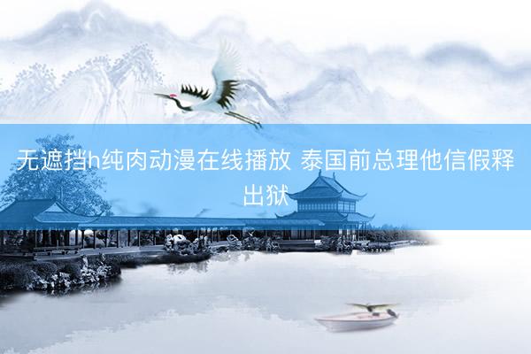无遮挡h纯肉动漫在线播放 泰国前总理他信假释出狱
