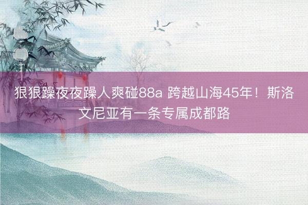 狠狠躁夜夜躁人爽碰88a 跨越山海45年！斯洛文尼亚有一条专属成都路