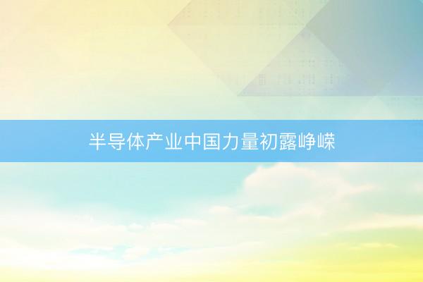 半导体产业中国力量初露峥嵘