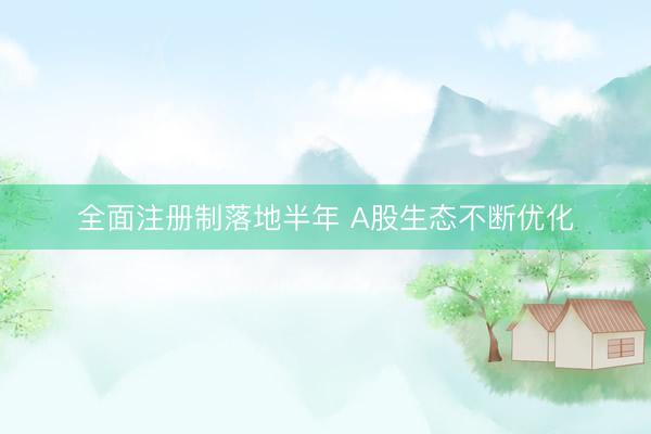 全面注册制落地半年 A股生态不断优化