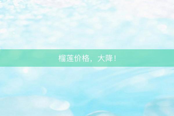 榴莲价格，大降！