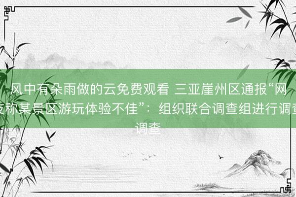 风中有朵雨做的云免费观看 三亚崖州区通报“网友称某景区游玩体验不佳”：组织联合调查组进行调查