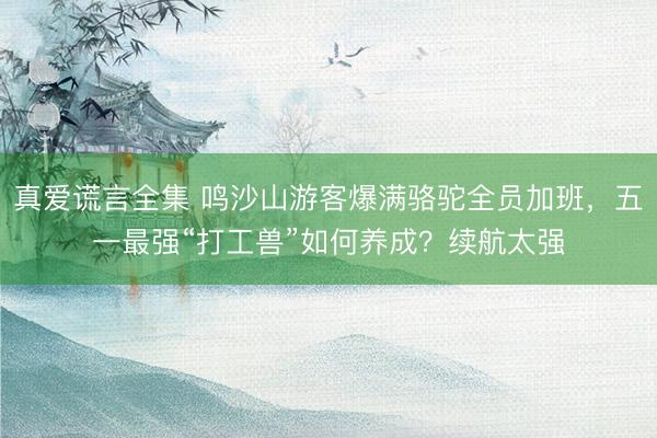 真爱谎言全集 鸣沙山游客爆满骆驼全员加班，五一最强“打工兽”如何养成？续航太强
