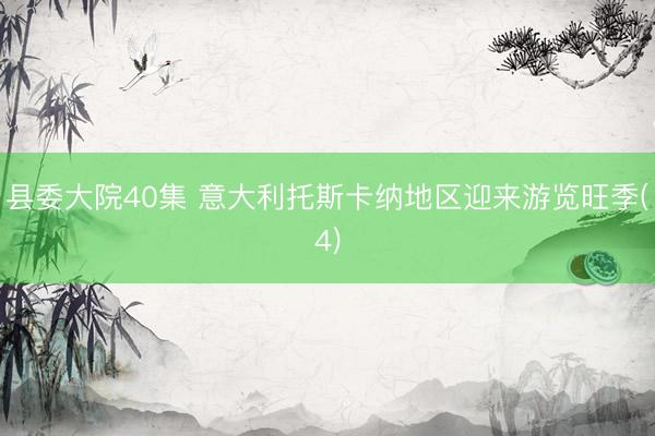 县委大院40集 意大利托斯卡纳地区迎来游览旺季(4)