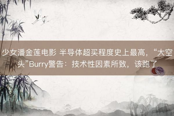 少女潘金莲电影 半导体超买程度史上最高，“大空头”Burry警告：技术性因素所致，该跑了