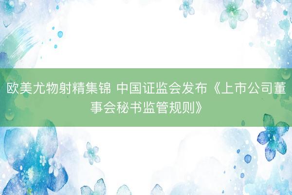 欧美尤物射精集锦 中国证监会发布《上市公司董事会秘书监管规则》