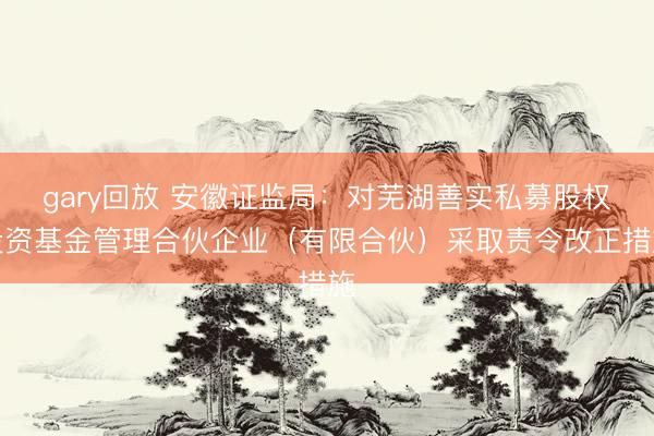 gary回放 安徽证监局：对芜湖善实私募股权投资基金管理合伙企业（有限合伙）采取责令改正措施