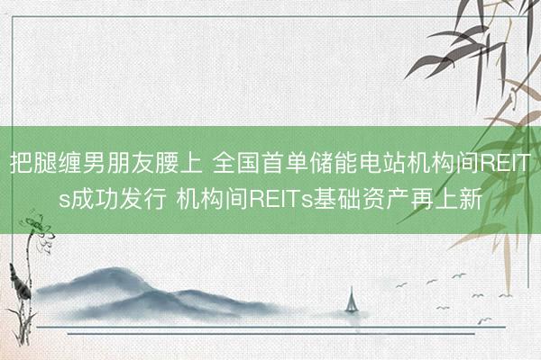 把腿缠男朋友腰上 全国首单储能电站机构间REITs成功发行 机构间REITs基础资产再上新