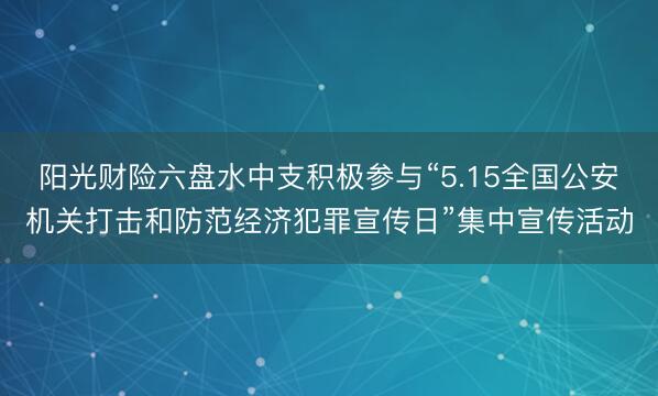 阳光财险六盘水中支积极参与“5.15全国公安机关打击和防范经济犯罪宣传日”集中宣传活动