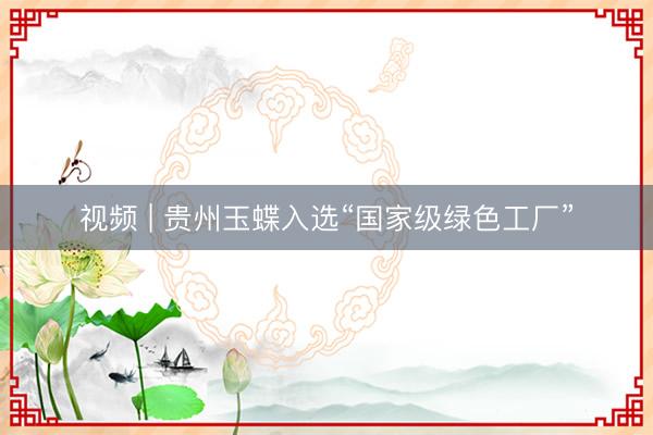 视频 | 贵州玉蝶入选“国家级绿色工厂”