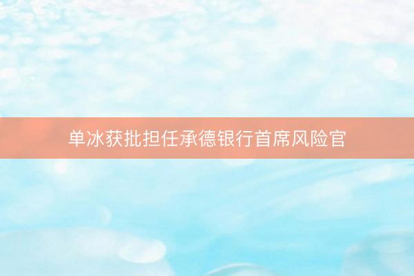 单冰获批担任承德银行首席风险官