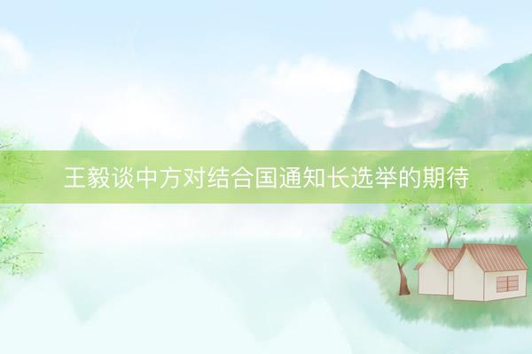 王毅谈中方对结合国通知长选举的期待