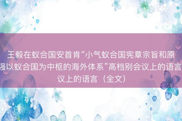 王毅在蚁合国安首肯“小气蚁合国宪章宗旨和原则，加强以蚁合国为中枢的海外体系”高档别会议上的语言（全文）