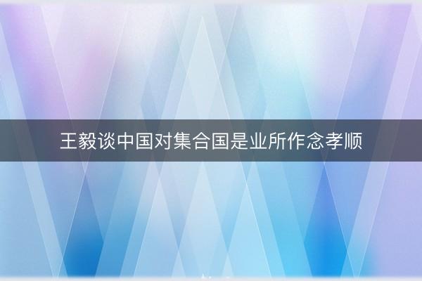 王毅谈中国对集合国是业所作念孝顺