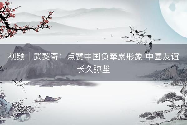 视频｜武契奇：点赞中国负牵累形象 中塞友谊长久弥坚