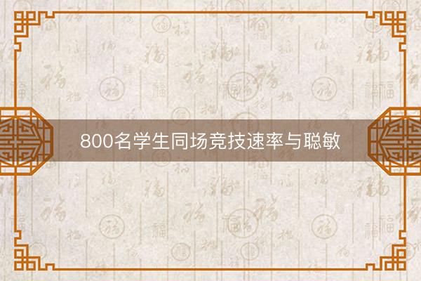 800名学生同场竞技速率与聪敏