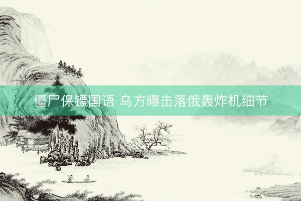 僵尸保镖国语 乌方曝击落俄轰炸机细节