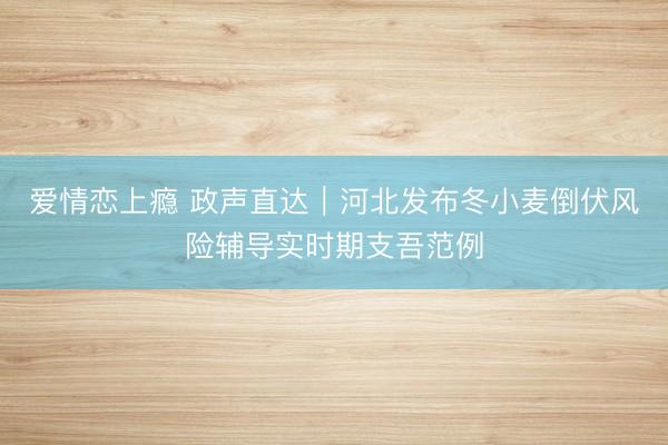 爱情恋上瘾 政声直达｜河北发布冬小麦倒伏风险辅导实时期支吾范例