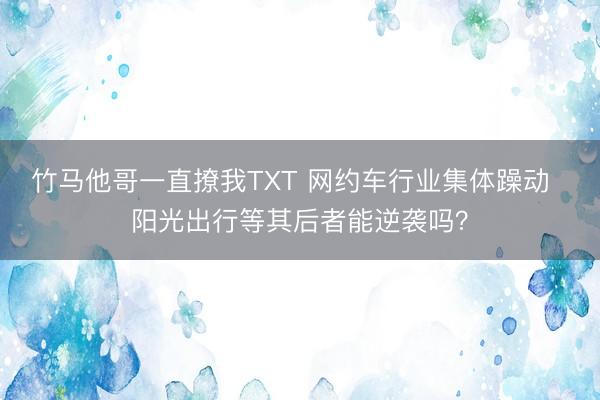 竹马他哥一直撩我TXT 网约车行业集体躁动  阳光出行等其后者能逆袭吗？