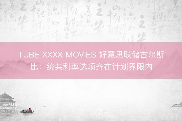 TUBE XXXX MOVIES 好意思联储古尔斯比：统共利率选项齐在计划界限内