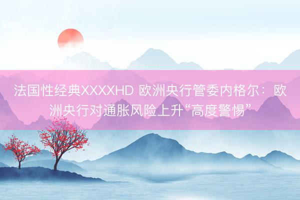 法国性经典XXXXHD 欧洲央行管委内格尔：欧洲央行对通胀风险上升“高度警惕”
