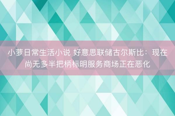 小萝日常生活小说 好意思联储古尔斯比：现在尚无多半把柄标明服务商场正在恶化