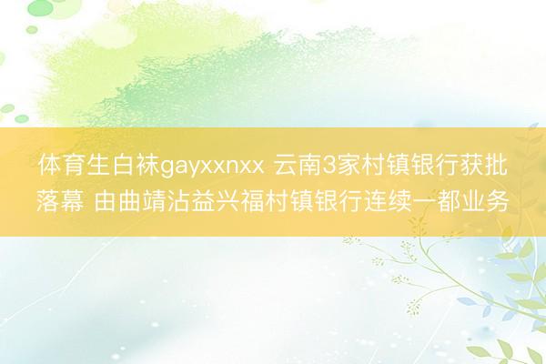 体育生白袜gayxxnxx 云南3家村镇银行获批落幕 由曲靖沾益兴福村镇银行连续一都业务