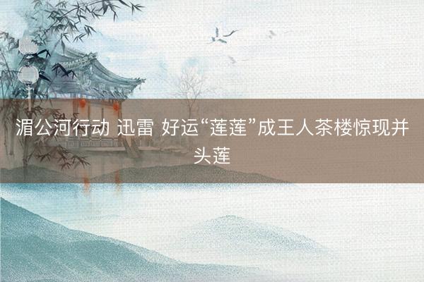 湄公河行动 迅雷 好运“莲莲”成王人茶楼惊现并头莲