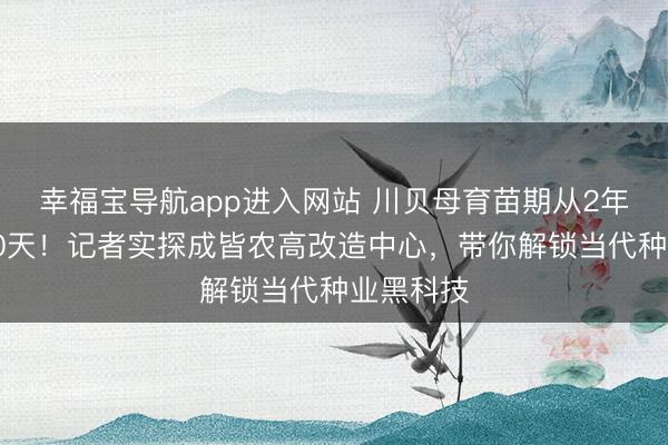 幸福宝导航app进入网站 川贝母育苗期从2年贬低至90天！记者实探成皆农高改造中心，带你解锁当代种业黑科技