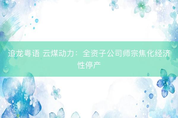 追龙粤语 云煤动力：全资子公司师宗焦化经济性停产