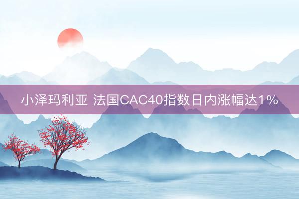 小泽玛利亚 法国CAC40指数日内涨幅达1%