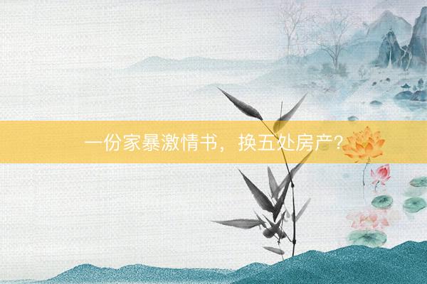一份家暴激情书，换五处房产？