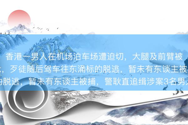 香港一男人在机场泊车场遭迫切，大腿及前臂被斩伤，6公斤黄金被抢，歹徒随后驾车往东涌标的脱逃，暂未有东谈主被捕，警耿直追缉涉案3名男人