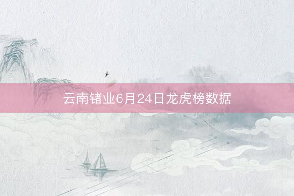 云南锗业6月24日龙虎榜数据