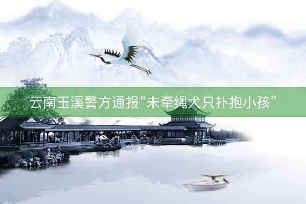 云南玉溪警方通报“未牵绳犬只扑抱小孩”